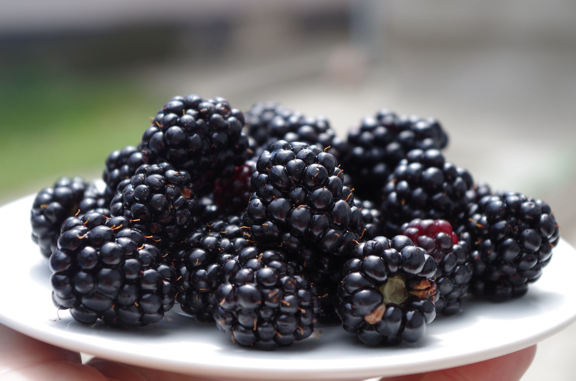 Blackberry Facts: Health Benefits