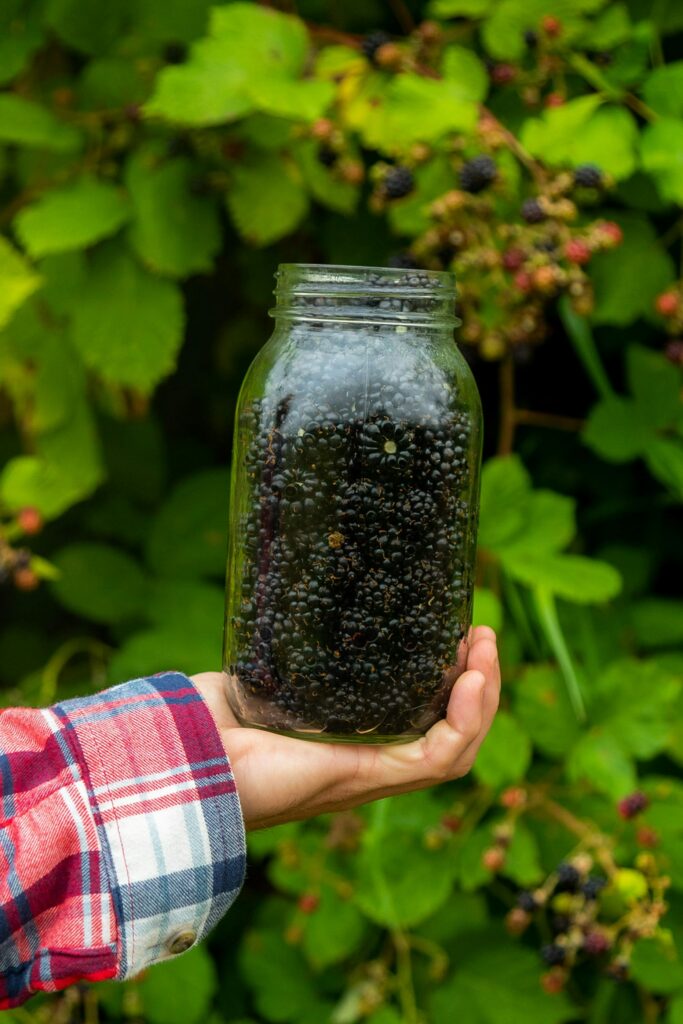 Hand holding up a glass jar filled with blackberries.